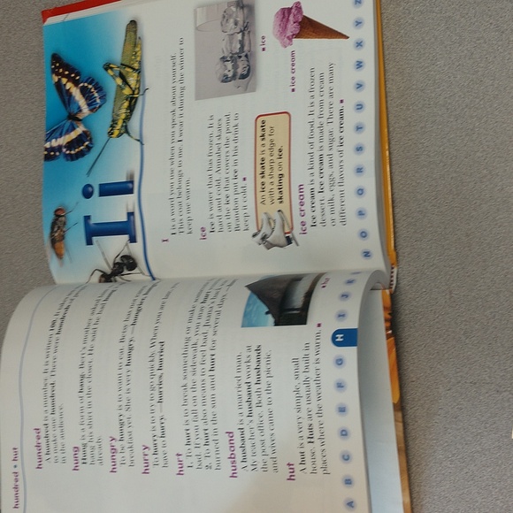 Dictionary - Picture 4 of 4